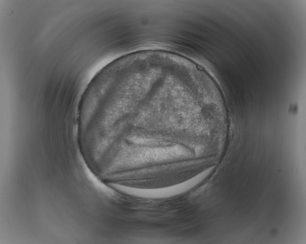 X0000112771143200909171306