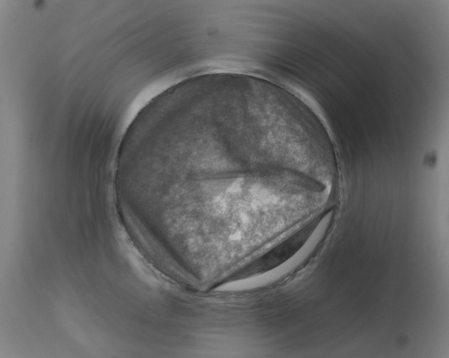 X0000112771146200909171306