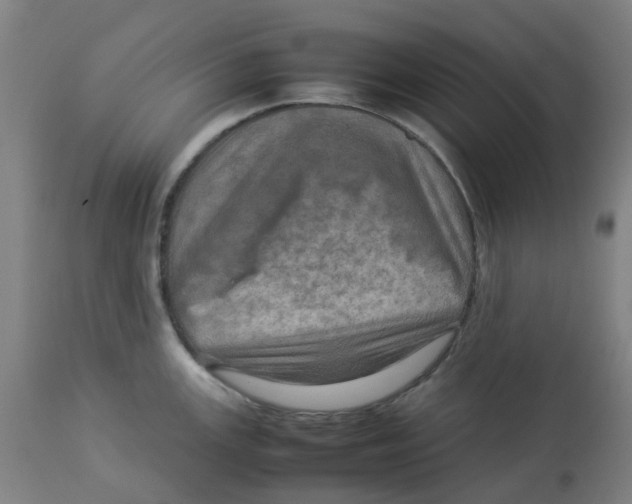 X0000112771147200909171306