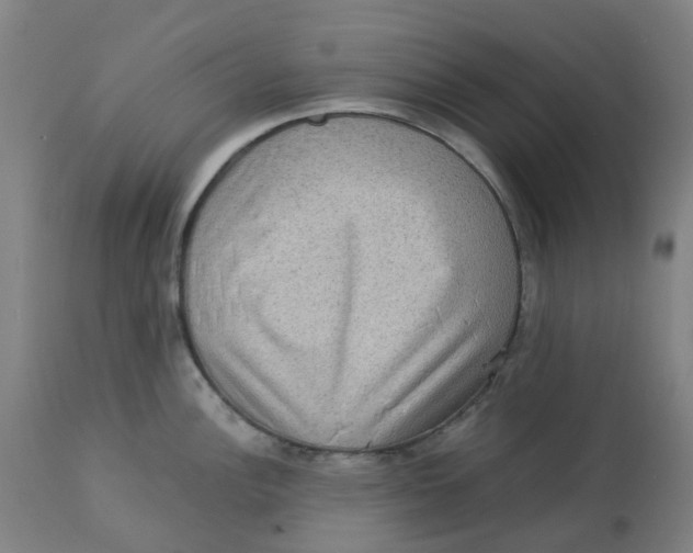 X0000112771148200909171306