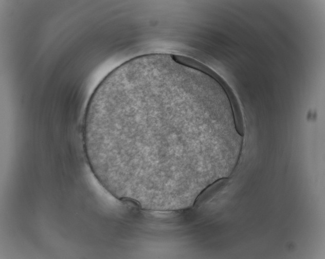 X0000112771152200909171306