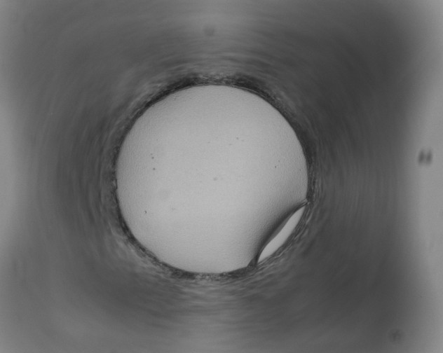 X0000112771153200909171306