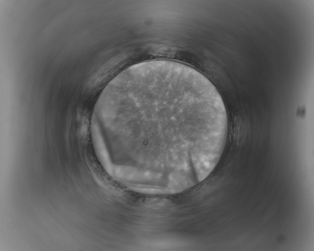 X0000112771154200909171306