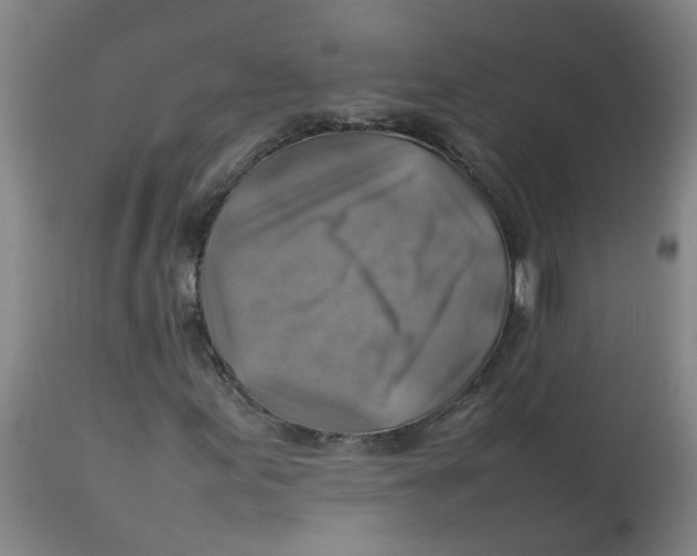 X0000112771155200909171306