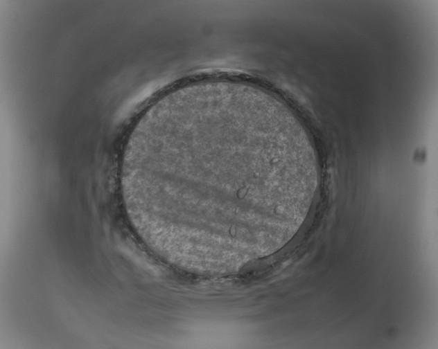 X0000112771159200909171306