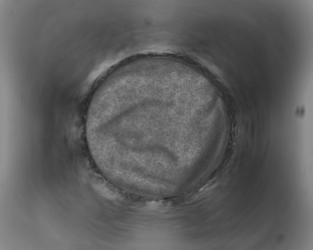 X0000112771160200909171306