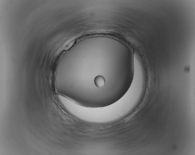 X0000112771161200909171306