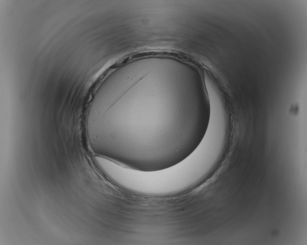 X0000112771162200909171306