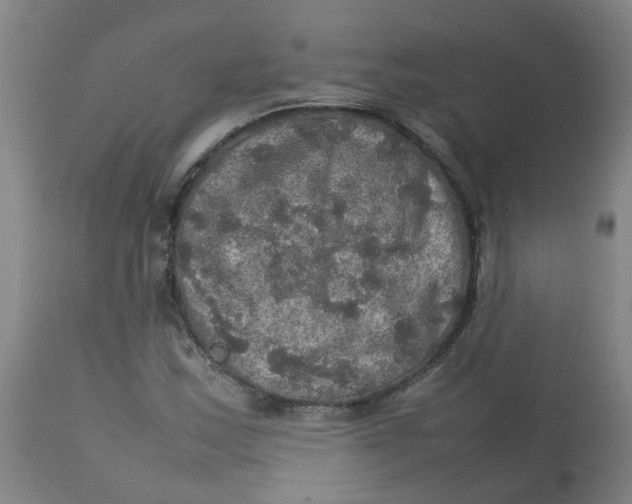 X0000112771163200909171306