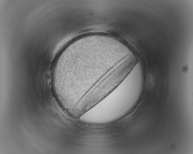 X0000112771164200909171306