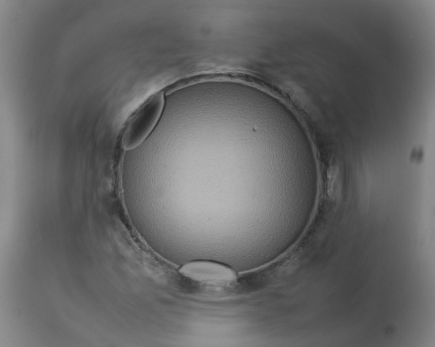 X0000112771165200909171306