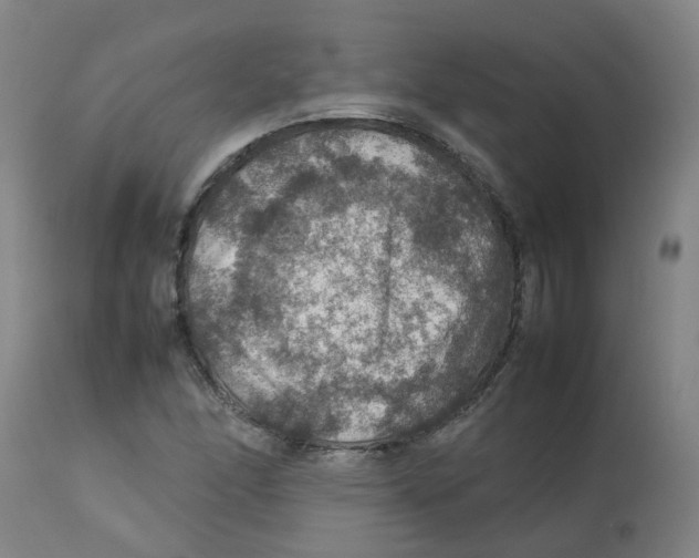 X0000112771166200909171306