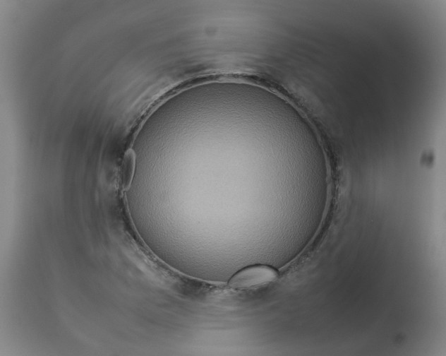 X0000112771169200909171306