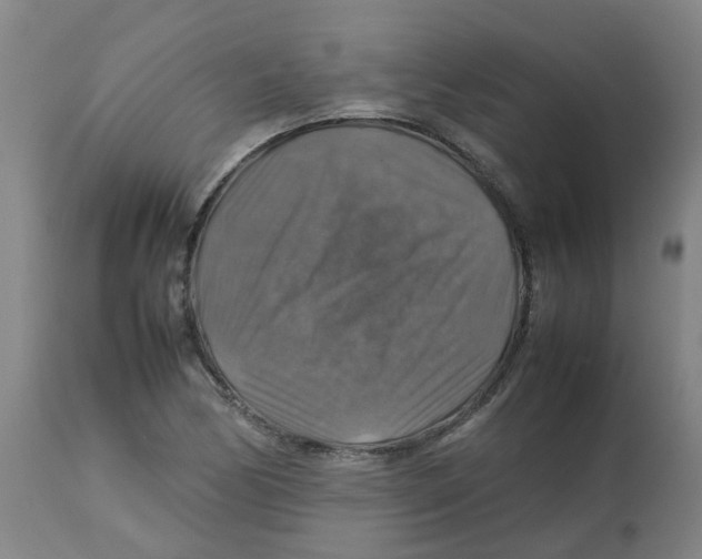 X0000112771170200909171306