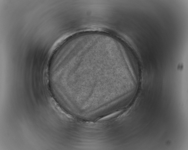 X0000112771172200909171306