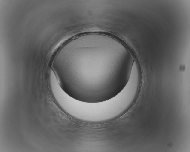 X0000112771173200909171305