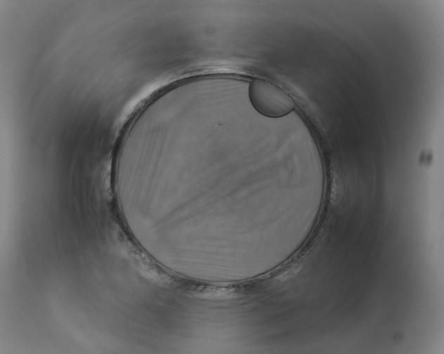 X0000112771174200909171305