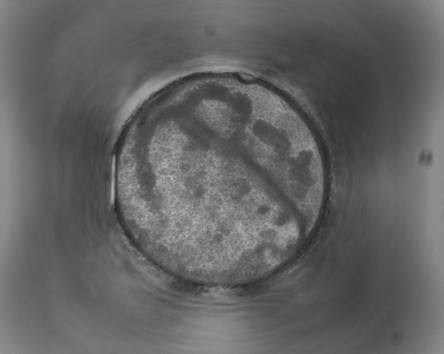 X0000112771175200909171305