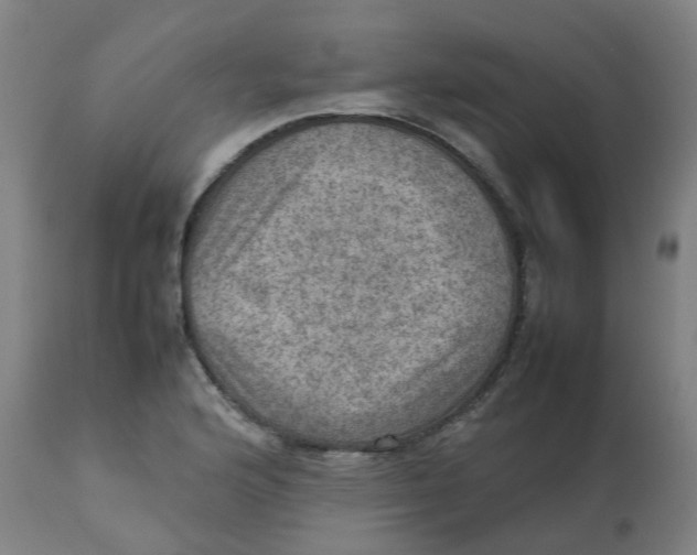 X0000112771176200909171305