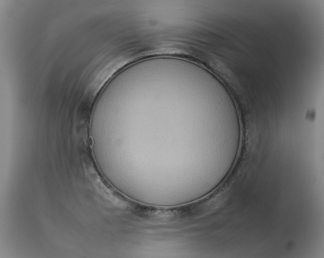 X0000112771177200909171305