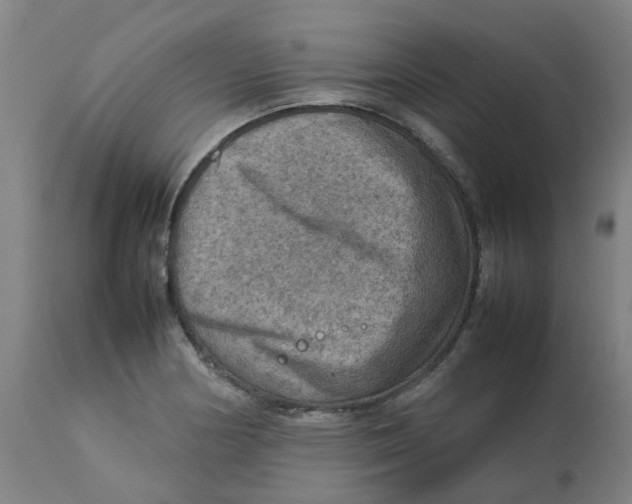 X0000112771178200909171305