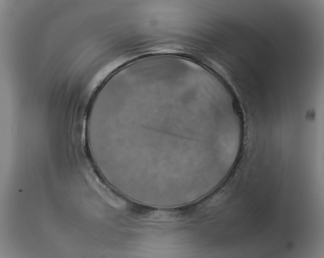 X0000112771179200909171305