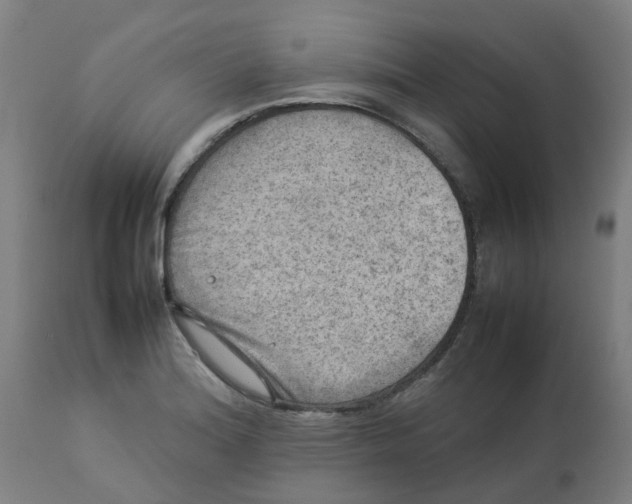 X0000112771180200909171305