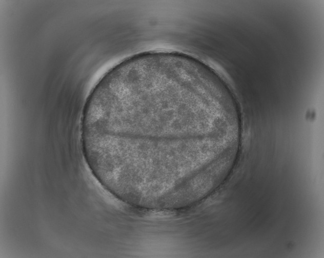 X0000112771183200909171305