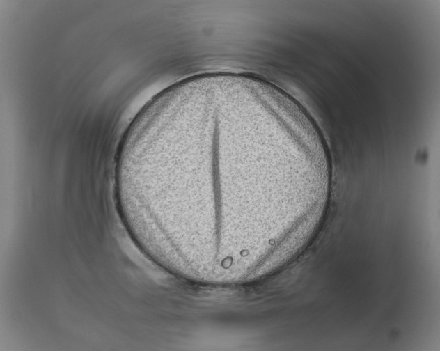 X0000112771187200909171305