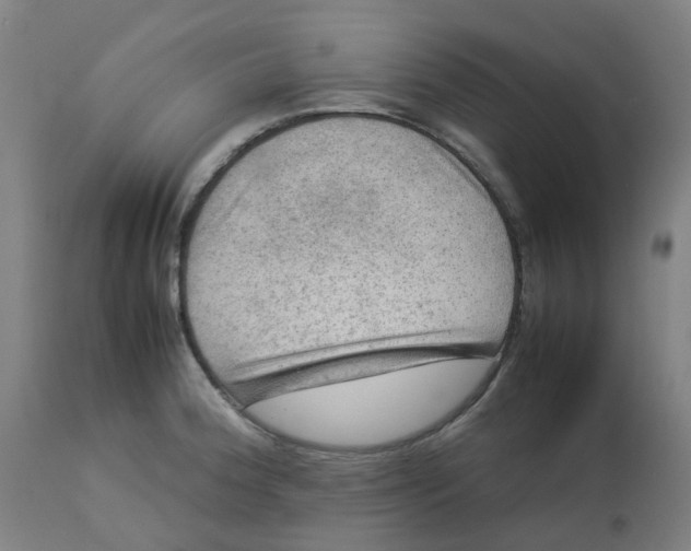 X0000112771188200909171305