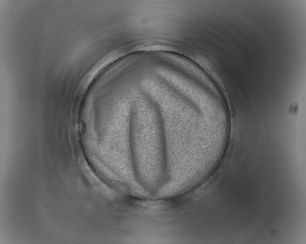 X0000112771189200909171305