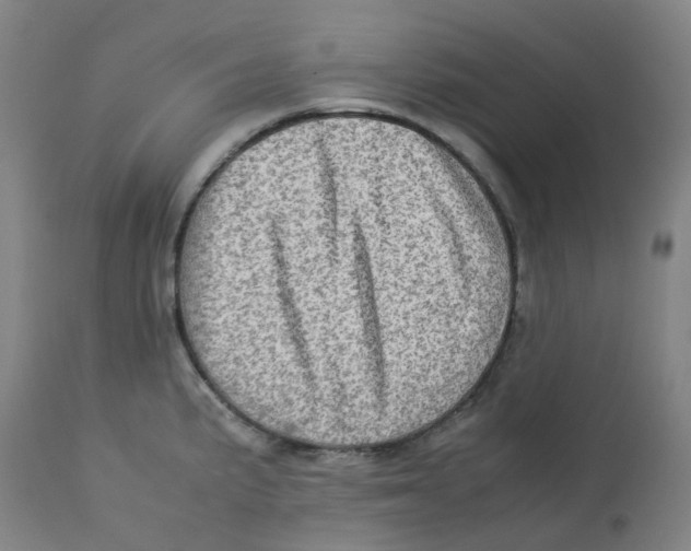 X0000112771191200909171305