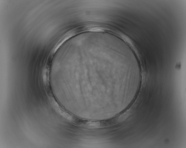 X0000112771194200909171305