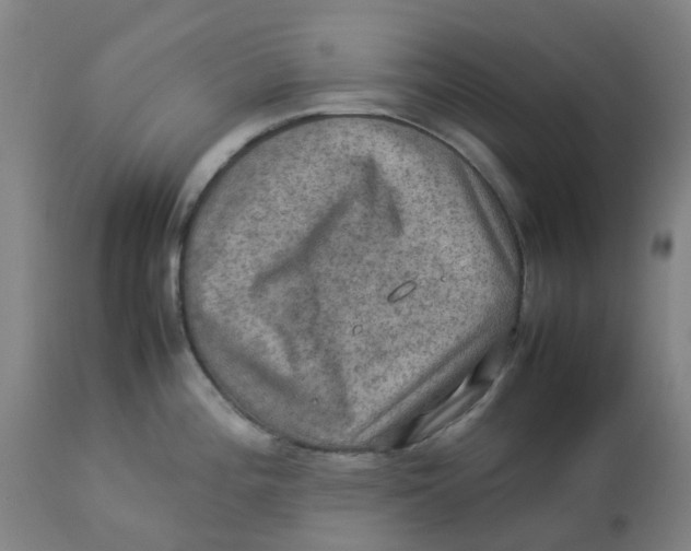 X0000112771196200909171305