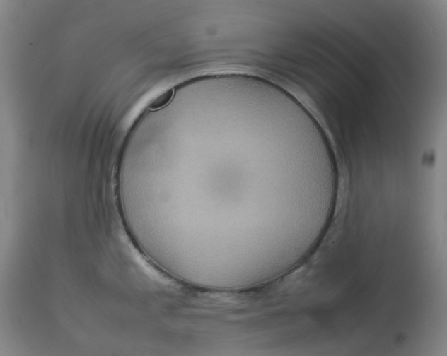 X0000112771197200909171305