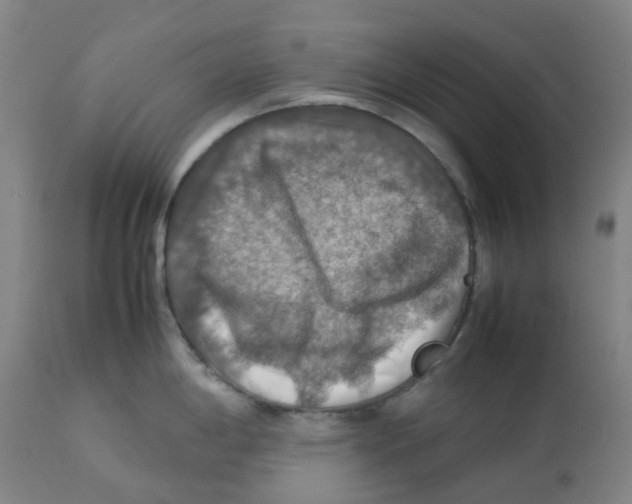 X0000112771198200909171305