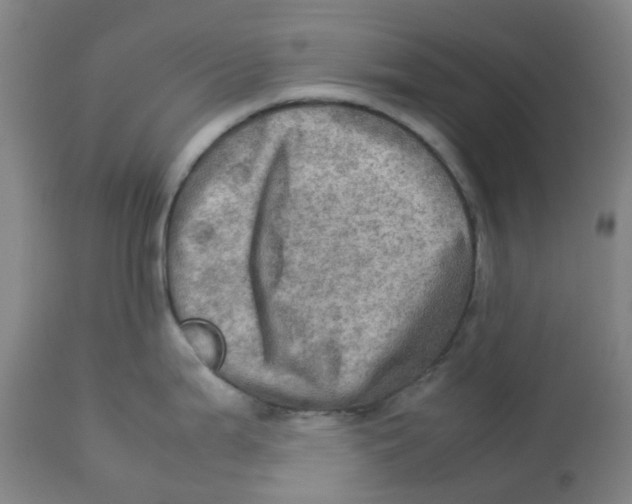 X0000112771199200909171305