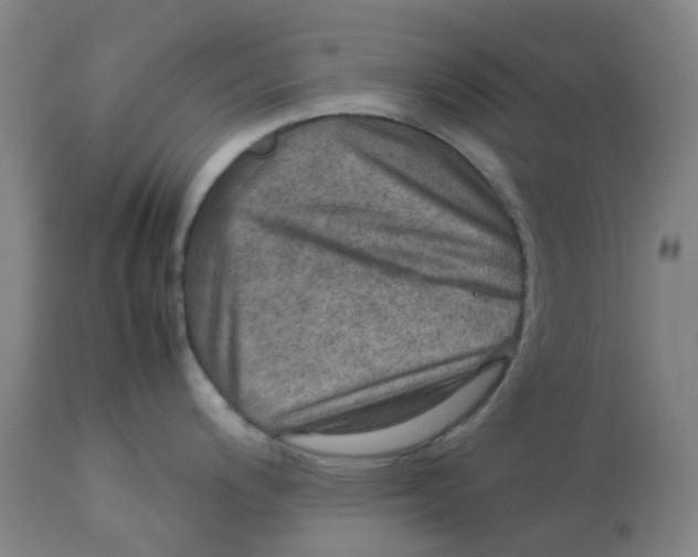 X0000112771200200909171305