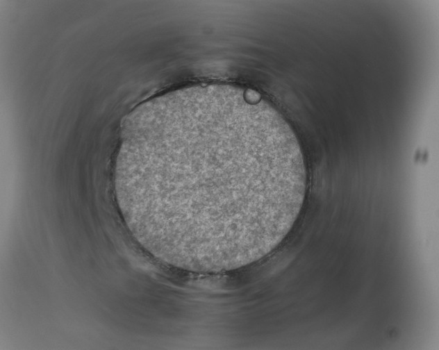 X0000112771201200909171304