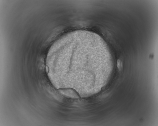 X0000112771203200909171304