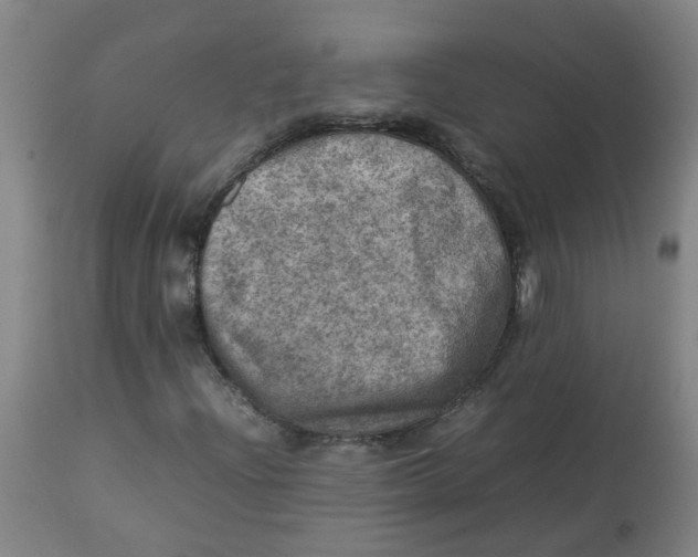 X0000112771204200909171304