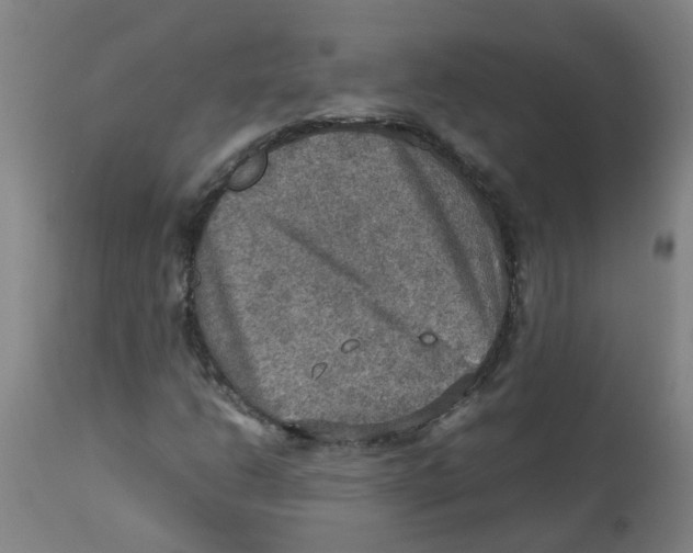 X0000112771206200909171305