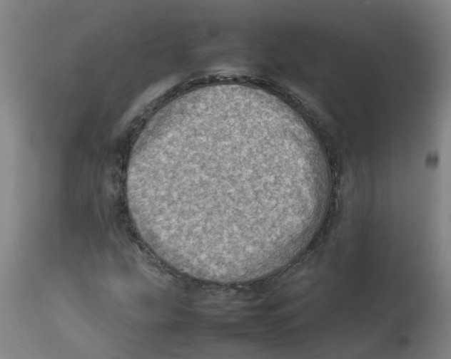 X0000112771207200909171305