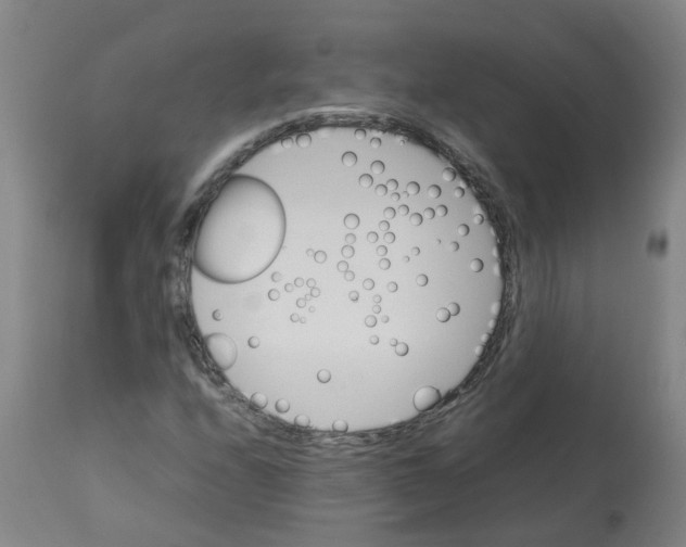 X0000112771208200909171305