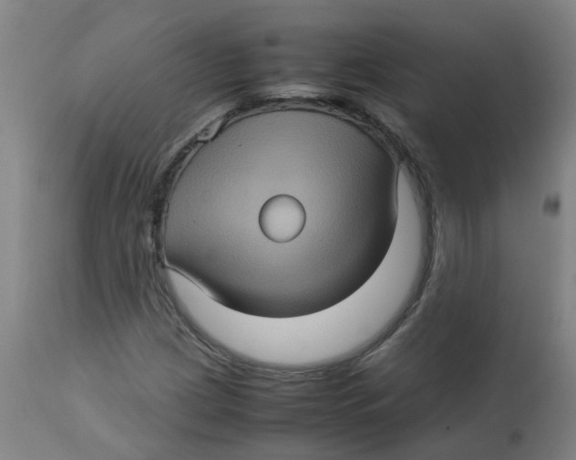 X0000112771209200909171305