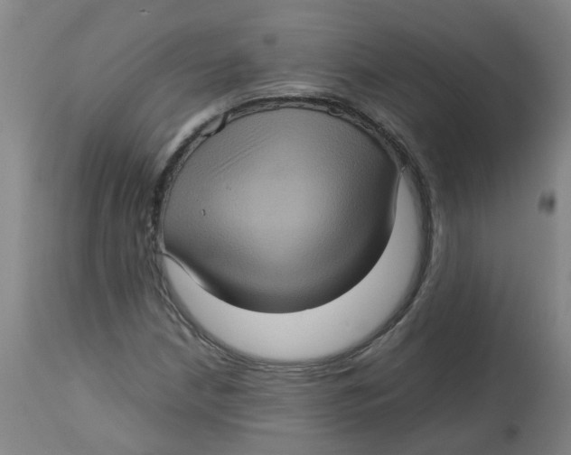 X0000112771210200909171305