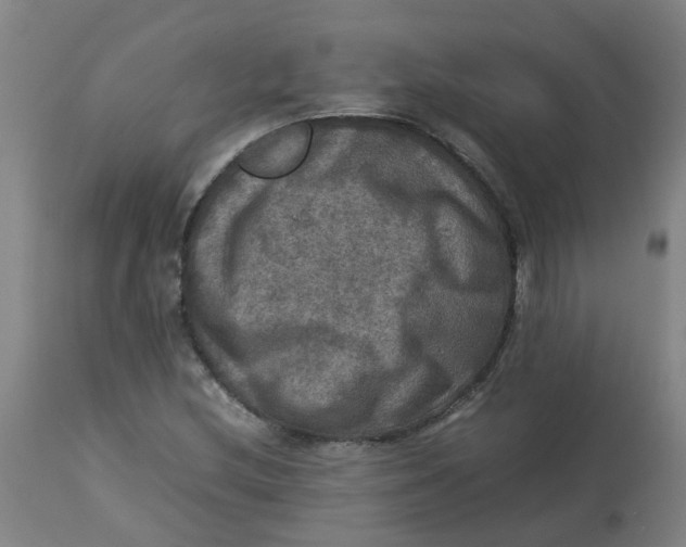 X0000112771212200909171305