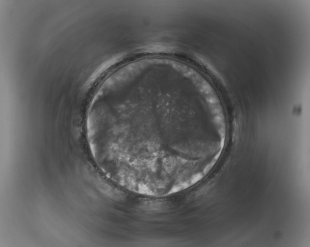 X0000112771213200909171305