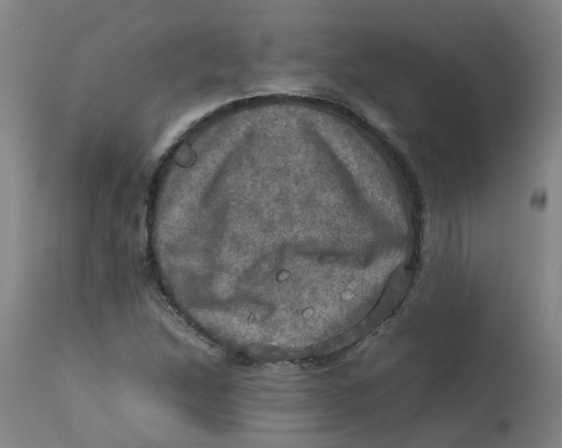 X0000112771214200909171305