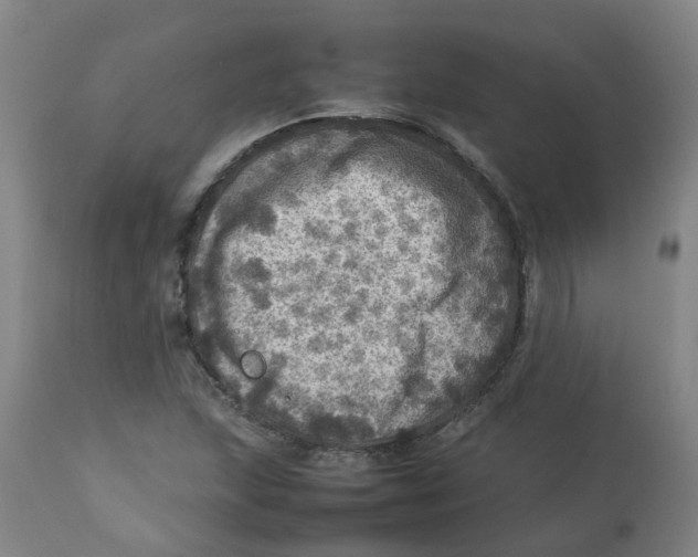 X0000112771215200909171305